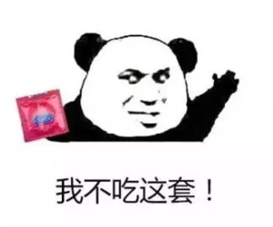 09.webp.jpg