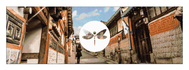01.gif